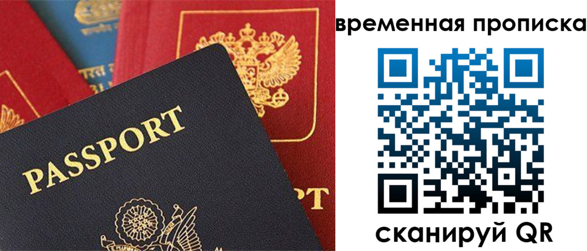 прописка для школы в Светлогорске
